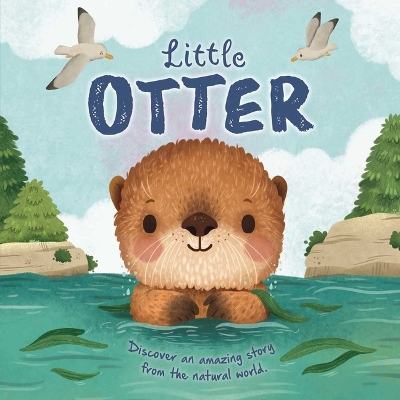 Book cover for Nature Stories: Little Otter-Discover an Amazing Story from the Natural World