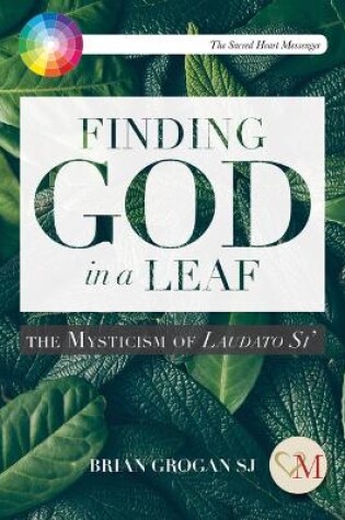 Cover of Finding God in a Leaf