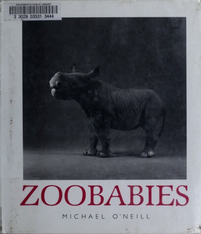 Book cover for Zoobabies