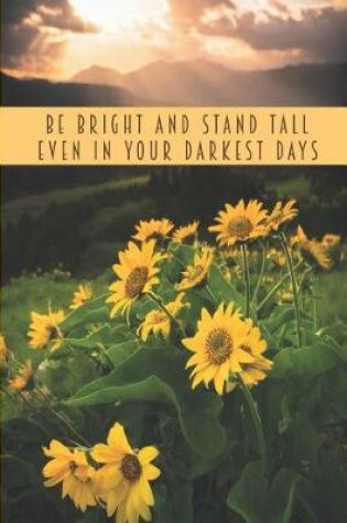 Cover of Be Bright And Stand Tall Even In Your Darkest Days