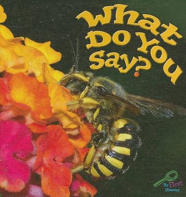 Book cover for What Do You Say?