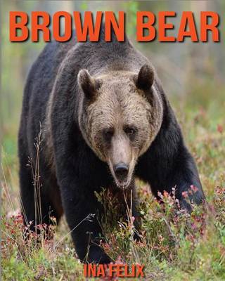 Book cover for Brown Bear