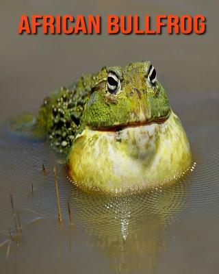 Book cover for African Bullfrog