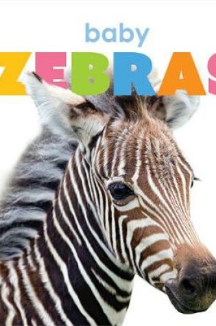 Cover of Baby Zebras