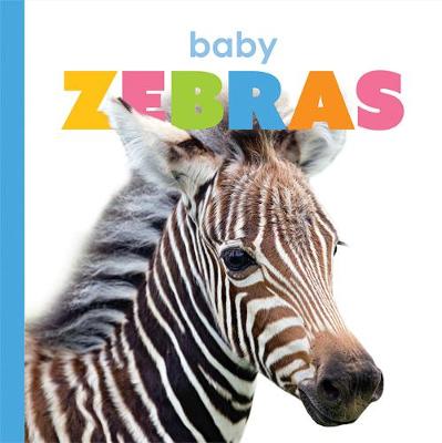 Book cover for Baby Zebras