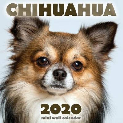 Book cover for Chihuahua 2020 Mini Wall Calendar