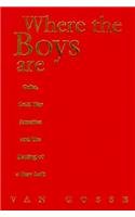 Book cover for Where the Boys are