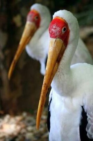 Cover of Yellow-billed Storks (Mycteria Ibis) Journal