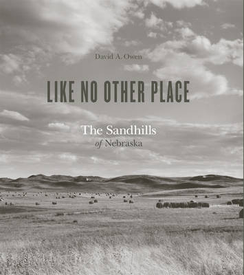 Book cover for Like No Other Place