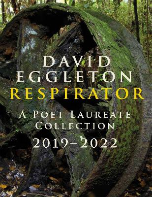 Book cover for Respirator