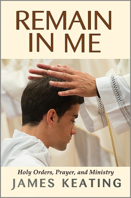Book cover for Remain in Me