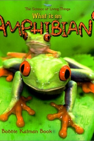 Cover of What Is an Amphibian?