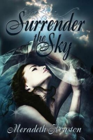 Cover of Surrender the Sky