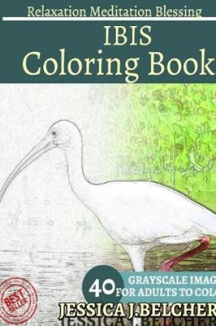 Cover of Ibis Coloring Book for Adults Relaxation Meditation Blessing