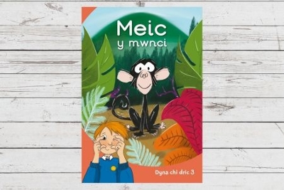 Book cover for Dyna Chi Dric: Meic y Mwnci