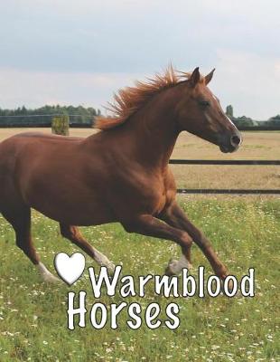 Book cover for Warmblood Horses
