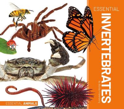 Book cover for Essential Invertebrates