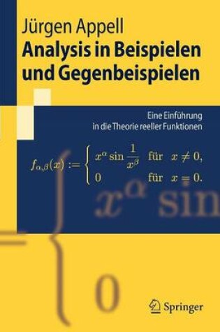 Cover of Analysis in Beispielen Und Gegenbeispielen