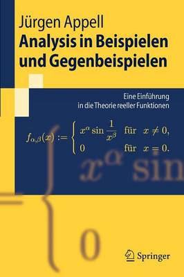 Book cover for Analysis in Beispielen Und Gegenbeispielen