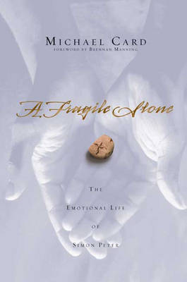 Book cover for A Fragile Stone