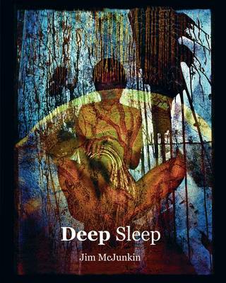 Book cover for Deep Sleep