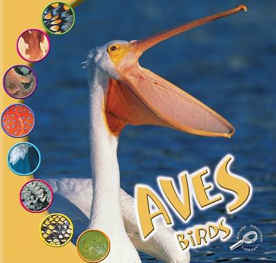 Book cover for Las Aves (Birds)