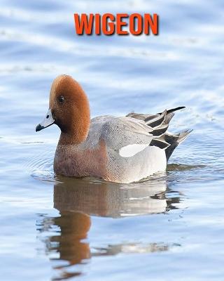 Book cover for Wigeon