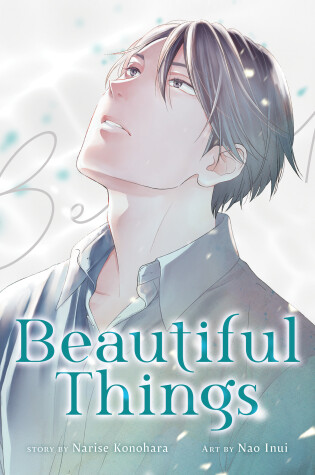 Cover of Beautiful Things: The Complete Manga Collection