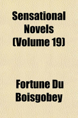 Cover of Sensational Novels Volume 19