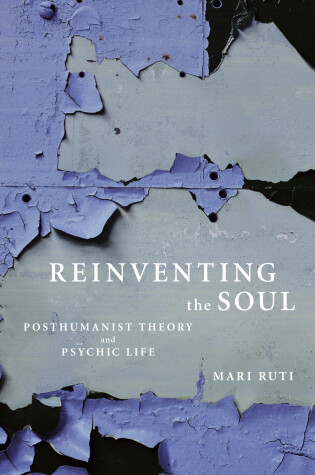 Cover of Reinventing the Soul