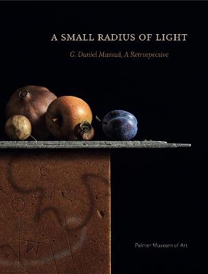 Book cover for A Small Radius of Light