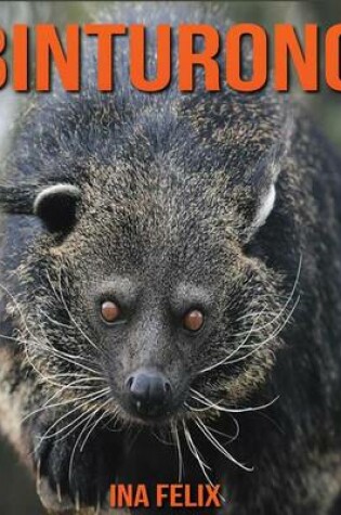 Cover of Binturong