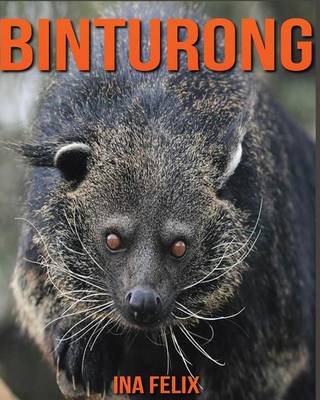 Book cover for Binturong