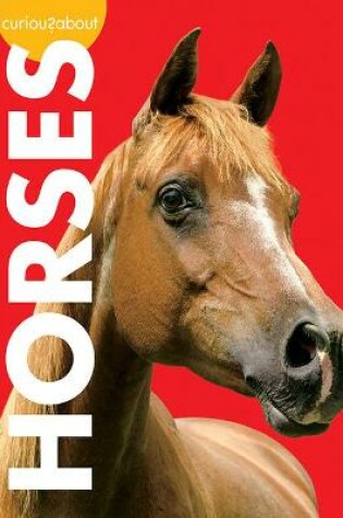 Cover of Curious about Horses
