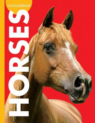 Cover of Curious about Horses