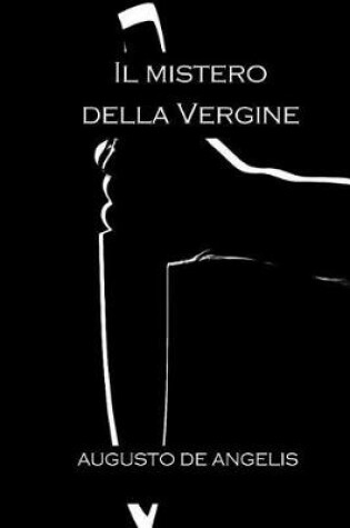 Cover of Il Mistero Della Vergine