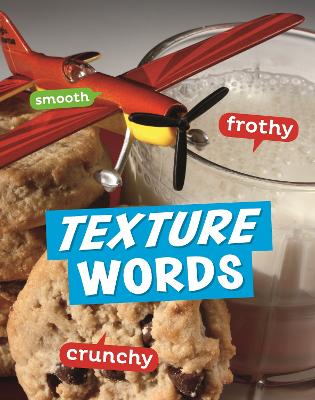 Book cover for Texture Words