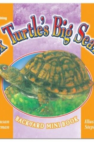 Cover of Box Turtle's Big Search