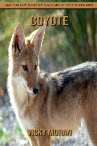 Cover of Coyote