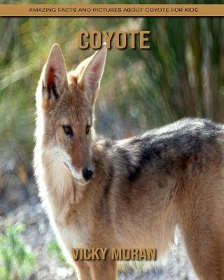 Book cover for Coyote