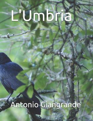 Book cover for L'Umbria