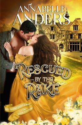 Book cover for Rescued by the Rake