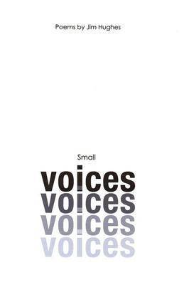 Book cover for Small Voices