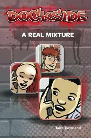 Cover of A Real Mixture  (Stage 3 Book 16)