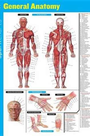 Cover of General Anatomy SparkCharts