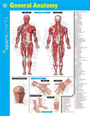 Book cover for General Anatomy SparkCharts