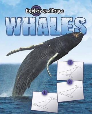 Book cover for Whales