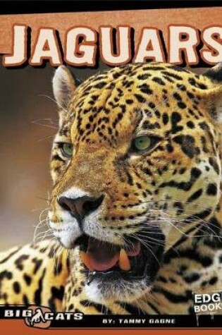 Cover of Jaguars