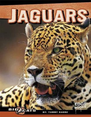 Book cover for Jaguars
