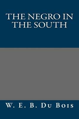 Book cover for The Negro in the South